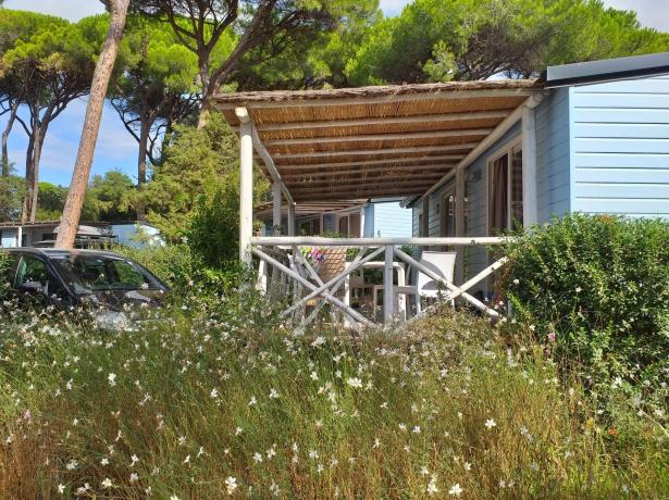 campingetruria en may-1-in-a-mobile-home-in-tuscany-with-beach-included 023